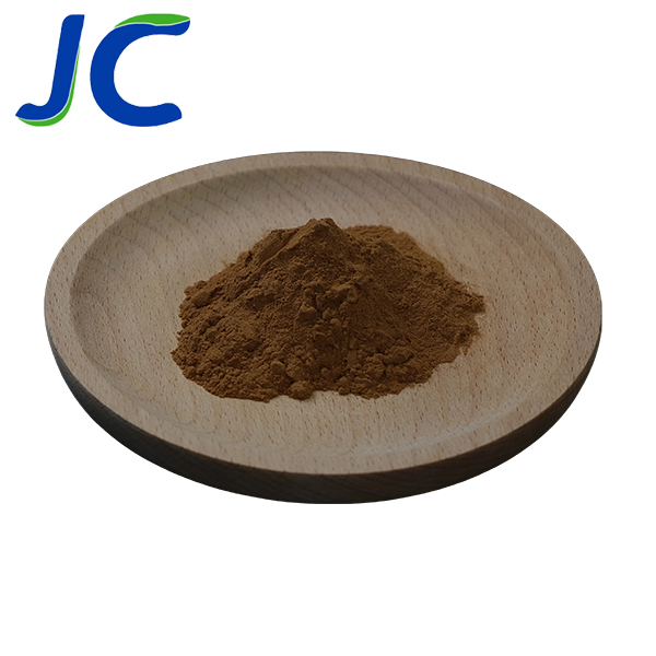 Ginkgo Biloba Extract